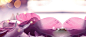 高档,广告设计模板,海报设计,海报素材,花朵,化妆品,梦幻,瓶子,色彩,香水,唯美,紫色,海报banner,浪漫图库,png图片,网,图片素材,背景素材,34078@北坤人素材