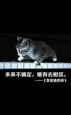 周山的考拉君采集到文字图片