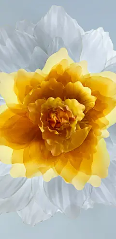 华为Honor 20手机自带壁纸（10）-全面屏手机壁纸