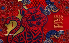 15款中国风2022年春节虎年新年红包贺卡海报吉祥图案矢量设计素材-淘宝网