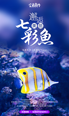 琥川采集到系列图