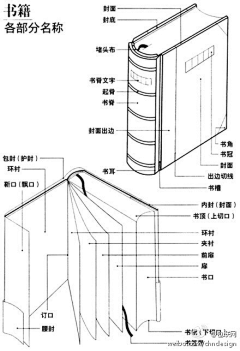 水沫双城采集到知识