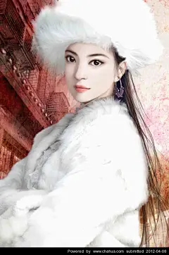 喵了个咪的插画画廊展厅