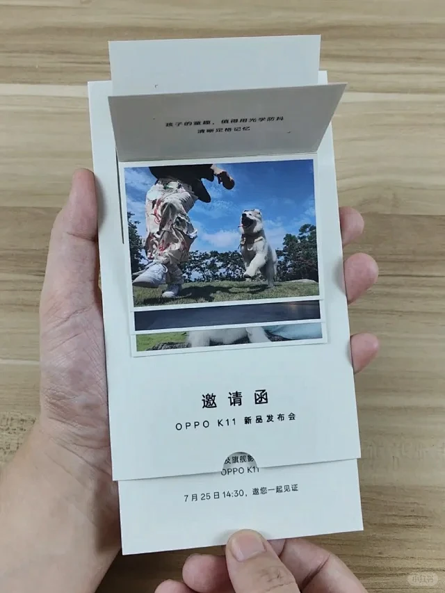 创意邀请函 - 小红书搜索-花瓣网