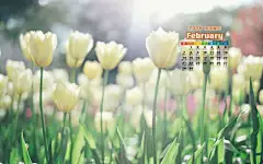 2016年二月高清电脑桌面壁纸