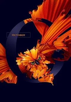 花儿与字母 版式海报设计 ​​​​#啊！设计# ​​​​