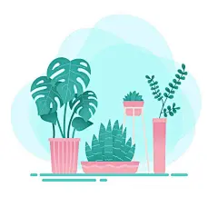 一款清新绿植盆栽矢量插画 UI设计素材——下载请到设计百宝箱 https://uirush.net