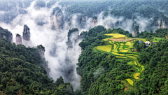 花间禅院采集到丁-摄影禅之风景