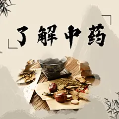世界传统医药日中医宣传次图