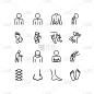 Orthopedics line icon set