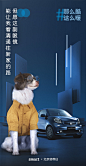 汽车品牌smart拍摄公益海报，请来流浪猫狗当车模