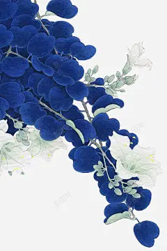 蓝色手绘花 页面网页 平面电商 创意素材