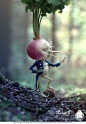 Awesome. Alice Through the Looking Glass: Turnip Concept, Michael Kutsche ~~ Houston Foodlovers Book Club