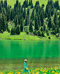 草原的绿色是夏日的凉风，在唐布...@永永游疆湖的动态
