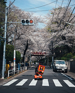 栗子小钱采集到街道素材