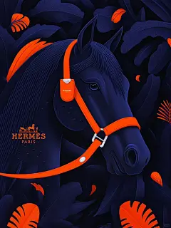 爱马仕 幻夜流光