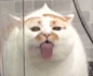#表情包#<br/>哧溜~
