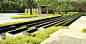 <b>Cicada Landscape Book 023.jpg</b>