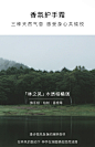 【双11狂欢】Baum多效精萃水+香氛护手霜护肤套装保湿木质香-tmall.com天猫