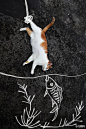来自摄影师冯喆丹的作品，当喵星人遇上超赞的涂鸦创意，加上巧妙的摄影角度，诙谐幽默猫咪狂想曲就诞生啦！会画画的二货主人好有爱！一起来治愈一下吧→http://t.cn/8kxyrqT