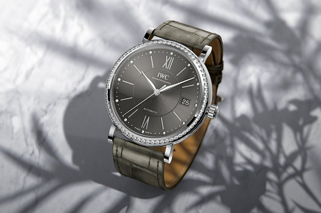 Image of IWC Introdu...