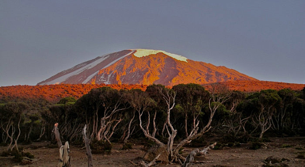 非洲的最高峰——乞力马扎罗山