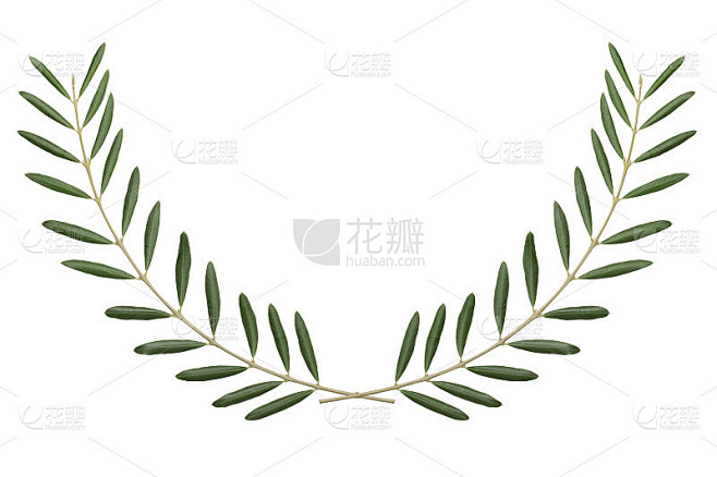 橄榄枝，和平的象征