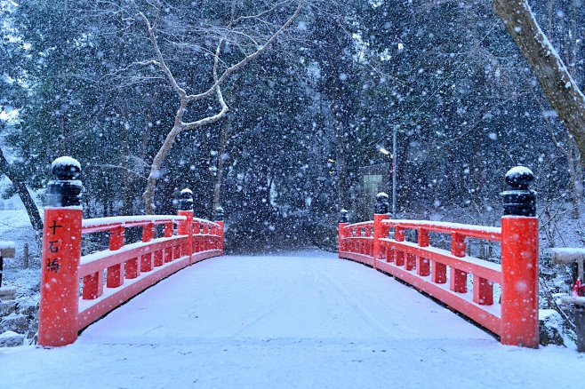 日语学习的照片 - 微相册
雪后的伏见稻...