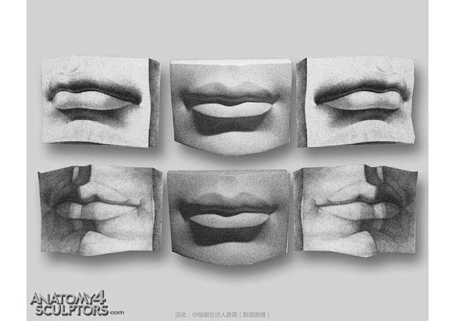 迈克尔汉普顿人体结构-嘴巴