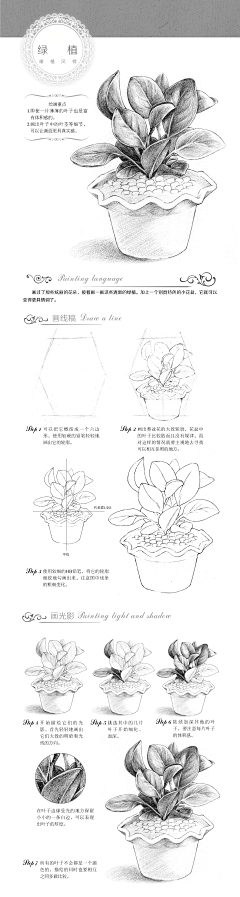 大胃虫采集到绘画（素描-静物）