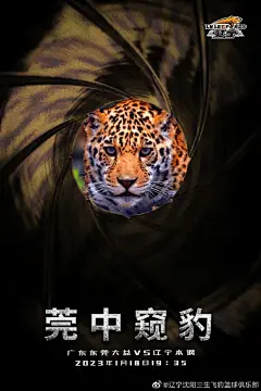[流言板]辽宁队官方发布对阵广东预热海报：莞中窥豹-CBA-辽宁飞豹-虎扑社区