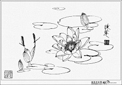 江南和采集到工笔画草