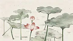 佛系电脑壁纸高清图片_百度图片搜索
