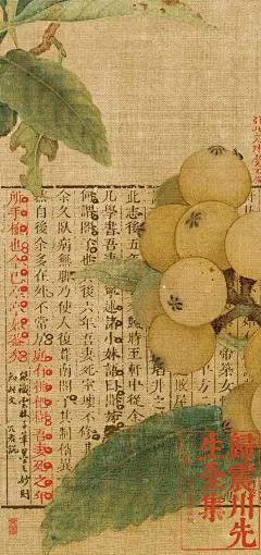 琯朗壁纸｜项脊轩志
粉丝投稿。
最近这个天气···就让人感觉凄风苦雨···
项脊轩志“庭有枇杷树，吾妻死之年所手植也，今已亭亭如盖矣”。最后这句，真是细思哀极。[苦澀][苦澀][苦澀]
人生苦短，当及时相爱。
《震川先生集·刻本 乾隆48年歸景灝歸景洢重修本》｜宋《枇杷山鸟图绢本》