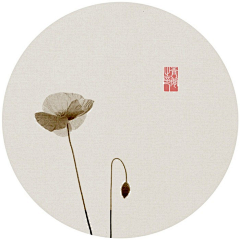 木槿物语ss采集到线稿 手绘