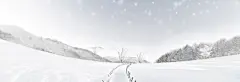 白色冰雪王国海报背景高清素材 banner 家居 海报背景 童装 美容 背景 背景素材 背景 设计图片 免费下载