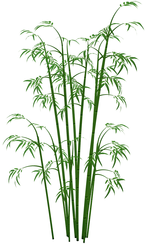 竹PNG