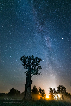 Hicox采集到星空&极光