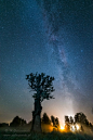 Milky Way & Tree