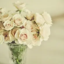 总有一天，你的父母不再能够理解你所学的东西，他们只能在电话里让你保重身体，然后一边垂垂老去，一边盼你回家。我们总有一千个忙碌的理由，谈起未来一片迷茫。前行的路多么坎坷，转身却看不清时光的倒影。年轻的我们拥有最温暖的两样东西，家，还有梦想。