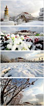 雪依然在下，布达拉宫依然显得那么安详 #采集大赛#