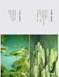 食摄马也·CHINA驰系列 | 廿四节气-立夏摄影设计