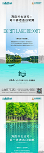 地产湖居养老价值点系列海报-源文件