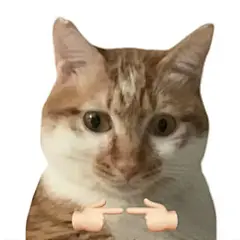 抽象猫猫表情包 - 小红书