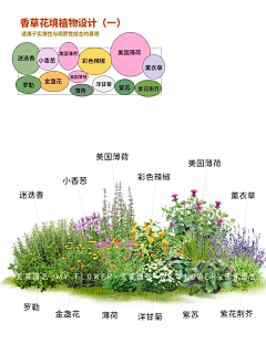 Y-庭院元素-植物配置-花瓣网|陪你做生活的设计师 | 现代花境植物搭配组合图解 - 小红书