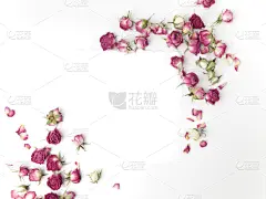 玫瑰,粉色,干的,平铺,视角,边框,美,贺卡,水平画幅,纹理效果
