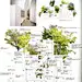 sou fujimoto consept - Google-haku