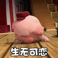 探探猫表情包：仿佛听见背后有人说我......帅！07