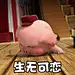 探探猫表情包：仿佛听见背后有人说我......帅！07