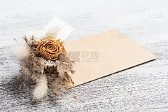 空纸和牛皮纸信封